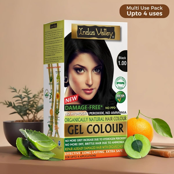 Indus Valley INDUS VALLEY Damage Free Natural Gel Hair Colour 220ml  Black 1.00 for Women & Men | 100% Grey Coverage | No Ammonia, No PPD | Organic Herbal Based Conditioning Hair Color