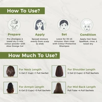 Indus Valley INDUS VALLEY Damage Free Natural Gel Hair Colour 220ml  Black 1.00 for Women & Men | 100% Grey Coverage | No Ammonia, No PPD | Organic Herbal Based Conditioning Hair Color