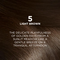 Loreal Paris Loreal  Paris Excellence Creme 05 Light Brown 72ml+100g | Triple Care Hair Color | 100% Grey Coverage | Long Lasting Color | Permanent Hair Color for Shiny, Healthy Hair | Radiant Light Brown  |Shade -