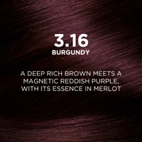 Loreal Paris Excellence Creme  Burgundy 3.16 | 72ml+100g | Triple Care Hair Color | 100% Grey Coverage | Long Lasting Color | Permanent Hair Color for Shiny, Healthy Hair | Vibrant Burgundy Hair Color  | Shade -