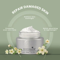Lotus Herbals White Glow Skin Night Cream 60g | Whitening & Brightening Nourishing  | Deep Hydration, Even Skin Tone & Radiant Glow While You Sleep