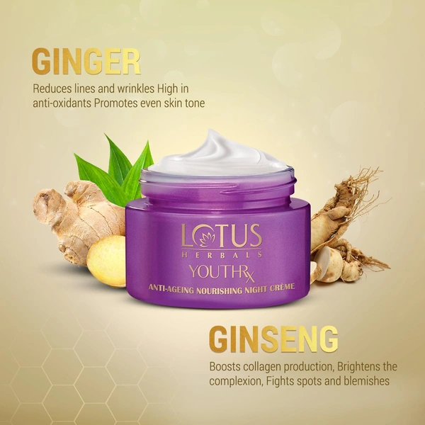 Lotus Herbals YouthRx Anti-Aging Nourishing Night Cream 50g | Rejuvenates | Hydrates & Reduces Fine Lines for Youthful, Radiant Skin