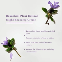 Lotus Organics+ Bakuchiol Plant Retinol Recovery Night Cream 30g | Certified Organic | Reduces Fine Lines & Wrinkles | Anti-Ageing & Firming | Refines Skin Texture | Unisex | All Skin Types