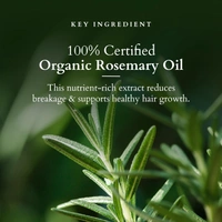 Lotus Organics+ Hair Growth Active Concentrate Serum 28ml | 100% Organic Rosemary Oil, AnaGain & Hairdian | Strengthens Hair Follicles & Boosts Growth | For All Hair Types