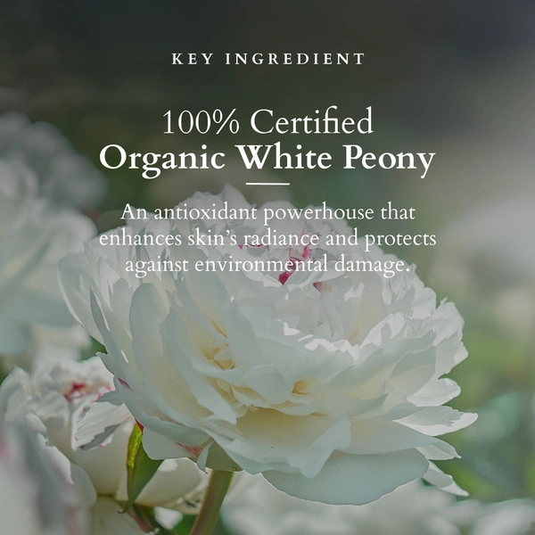 Lotus Organics+ Precious Brightening Facial Kit 47g| With 4 Steps for Instant Bright & Glowing Skin | Enriched with 100% Certified Organic Actives | For Men & Women