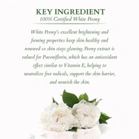 Lotus Organics+ Precious Brightening Night Cream 50g | Reduces Dark Spots, Blemishes & Pigmentation | 100% Certified Organic White Peony | Sulphate & Paraben Free | All Skin Types