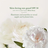 Lotus Organics+ Sheer Brightening Mineral Sunscreen 50gm with SPF 50 PA+++ | 100% Certified Organic White Peony | Fights Tanning & Pigmentation | Non-Greasy & Lightweight | All Skin Types 100g