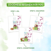 Mamaearth Onion Shampoo 250ml | with Onion Oil & Plant Keratin | Paraben & SLS Free | Anti-Frizz Hair | Chemical-Free | Keratin-Infused Shampoo | Hair Fall Control |  Strengthens Roots & Repairs Damage | for All Hair Types