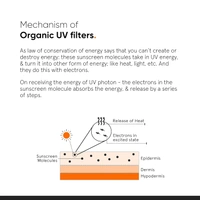 Minimalist Light Fluid Sunscreen SPF 50 PA++++ 50ml | Broad Spectrum UVA & UVB Protection | Clinically Tested in US | Lightweight, No White Cast, Water & Sweat Resistant