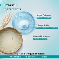 Pilgrim Advanced Damage Repair Shampoo 400ml with Korean Rice Water & Collagen for Unisex use | 17 Amino Acids, Wheat Protein & 5 Ceramides | Paraben-Free Formula for Dry, Damaged Hair
