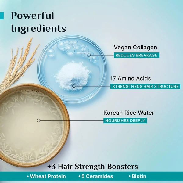Pilgrim Advanced Damage Repair Shampoo 400ml with Korean Rice Water & Collagen for Unisex use | 17 Amino Acids, Wheat Protein & 5 Ceramides | Paraben-Free Formula for Dry, Damaged Hair