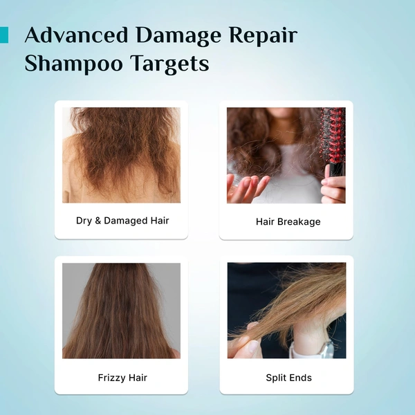 Pilgrim Advanced Damage Repair Shampoo 400ml with Korean Rice Water & Collagen for Unisex use | 17 Amino Acids, Wheat Protein & 5 Ceramides | Paraben-Free Formula for Dry, Damaged Hair