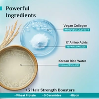 Pilgrim Korean Advanced Damage Repair Conditioner 200?ml with Rice Water & Collagen for Unisex use | 17 Amino Acids, Wheat Protein & Ceramides | Paraben-Free, Deep Nourishment & Shine