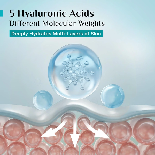 Pilgrim Korean Rice Water Hydra Glow Moisturizer 50g | Hyaluronic Acid & 3% Niacinamide | Hydrating, Brightening & Plumping Cream | Paraben-Free, Suitable for All Skin Types