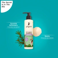 Pilgrim Spanish Rosemary & Biotin Anti Hairfall Shampoo - 200ml | for Reducing Hair Loss & Breakage | Promotes Growth | Upto 95% Stronger Hairs | Sulfate-Free | Hair Strengthening Treatment | For All Hair Types