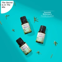 Pilgrim Spanish Rosemary Essential Oil - 10ml |  Rosemary essential oil for hair growth |  Improves Scalp Health | Reduces Hair Fall | Strengthens Hair | Chemical Free | For All Hair Types