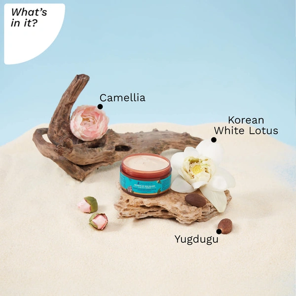 Pilgrim White Lotus Day Cream SPF 50 (PA+++) with Camellia & Yugdugu, 100gm | Protects Against UV Rays, Hydrates Skin, and Improves Skin Tone for a Radiant Finish.