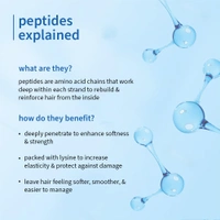 Plum Coconut Milk & Peptides Strength & Shine Shampoo 250ml | 22X Smoother Hair | Smoothening & Strengthening with Coconut Milk & Pea Peptide | Paraben-Free & Vegan