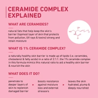 Plum Oat & 1% Ceramide Barrier Love Face Cream 50g | Repairs & Strengthens Skin Barrier | With Vitamin E & Allantoin | Moisturizer for Normal & Dry Skin | Unisex