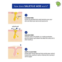 Plum Salicylic & Lactic Acid Gel Face Moisturizer 50gm | Skin-Smoothing Lightweight Gel | Oil-Free Hydration | Fights Active Acne, Clears Pores & Improves Skin Texture