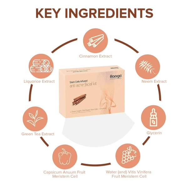 Raaga Professional Stem Cells Infused Anti Acne 6 Step Facial Kit 61g | with Green Grapes, Chilli Pepper Stem Cells & Cinnamon | Boos Skin Metabolism | Gives Long-Lasting Skin Protection | for All Skin Types