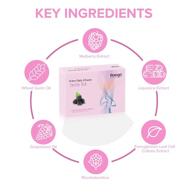 Raaga Professional Stem Cells Infused Mulerry 6 Step Facial Kit - 61g | With Mulberry and Alp Rose Stem Cells | Reduces Dark Spots | Rejuvenating facial | Anti-Aging Facial Kit | Deep Hydrating | for All Skin Types