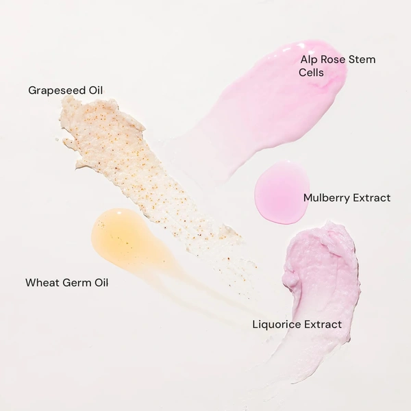 Raaga Professional Stem Cells Infused Mulerry 6 Step Facial Kit - 61g | With Mulberry and Alp Rose Stem Cells | Reduces Dark Spots | Rejuvenating facial | Anti-Aging Facial Kit | Deep Hydrating | for All Skin Types