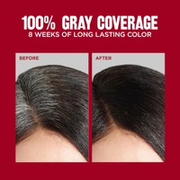 Revlon ColorSilk Permanent Hair Color 1WN Soft Black | 100% Grey Coverage | Ammonia-Free with Pro-Keratin & Silk Amino Acids | Up to 8 Weeks of Vibrant, Soft Black Salon Color