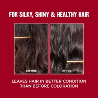 Revlon ColorSilk Permanent Hair Color 1WN Soft Black | 100% Grey Coverage | Ammonia-Free with Pro-Keratin & Silk Amino Acids | Up to 8 Weeks of Vibrant, Soft Black Salon Color