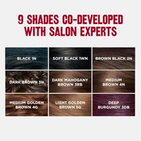 Revlon ColorSilk Permanent Hair Color 1WN Soft Black | 100% Grey Coverage | Ammonia-Free with Pro-Keratin & Silk Amino Acids | Up to 8 Weeks of Vibrant, Soft Black Salon Color