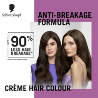 Schwarzkopf Colour Specialist 6.00 Natural Light Brown Permanent Hair Colour 100ml with Omegaplex & Hyaluronic Acid | Anti-Breakage | 100% Grey Coverage | Nourished Shine