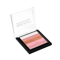 Swiss Beauty Brick Highlighter 7g | 03 | For Shimmery Effect