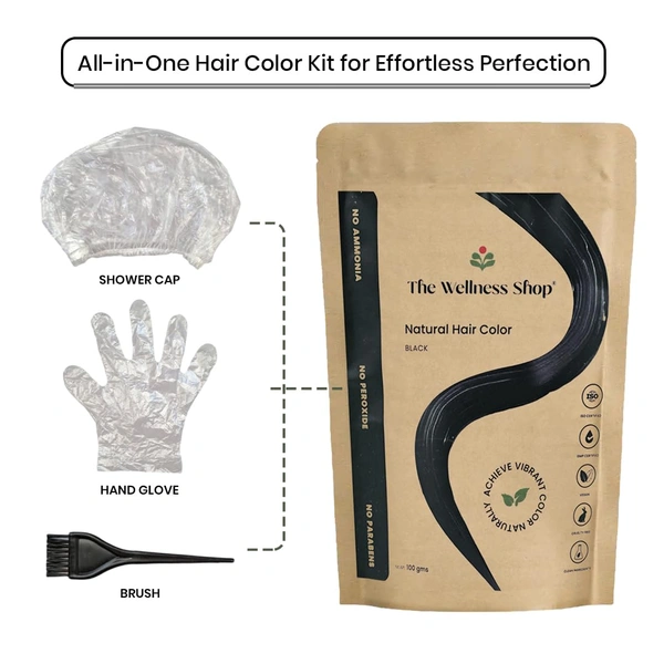 The Wellness shop The Wellness Shop Natural Black Hair Color Powder 100g | Herbal Blend with Henna & Amla | Ammonia-Free, Long Lasting Shine, Strengthens Roots, Prevents Dandruff | For Men & Women