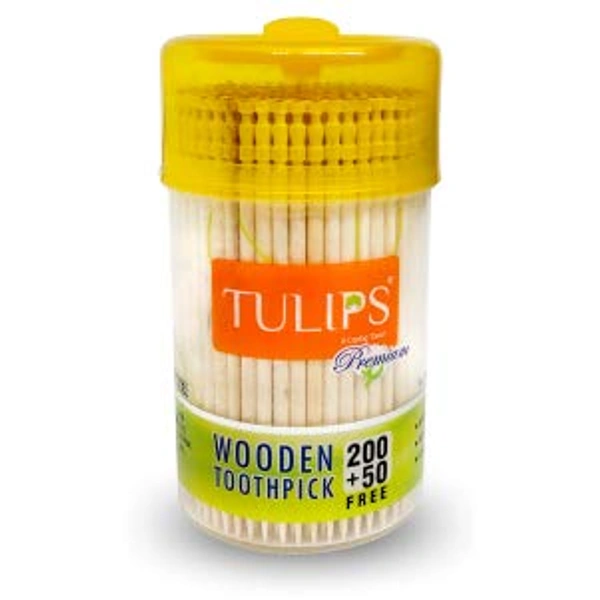 Tulips Premium Wooden Toothpicks 250+50 Free| High-Quality | Biodegradable | Safe for Daily Use | Ideal for Oral Hygiene & Kitchen Use