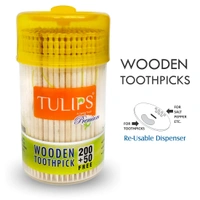 Tulips Premium Wooden Toothpicks 250+50 Free| High-Quality | Biodegradable | Safe for Daily Use | Ideal for Oral Hygiene & Kitchen Use