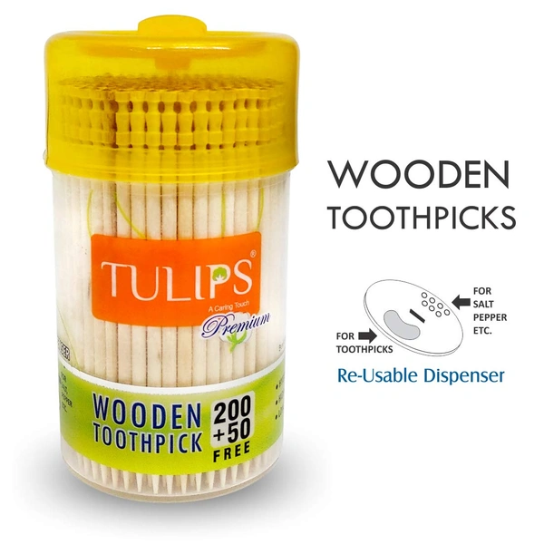 Tulips Premium Wooden Toothpicks 250+50 Free| High-Quality | Biodegradable | Safe for Daily Use | Ideal for Oral Hygiene & Kitchen Use