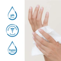 Tulips Refreshing Wet Wipes,  Assorted Fragrances - Japanese Cherry, Magnolia & Summer Fresh (60 Wipes) | Gentle & Soft for Face | Hands & Body | Perfect for Travel & Daily Use