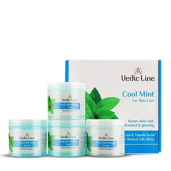 Vedic Line Cool Mint Facial Kit 400ml | Soothing Skincare Treatment | Reduce Tan & Dead Skin  | For a Radiant Glow| Keep Skin Cool, Refreshed & Glowing