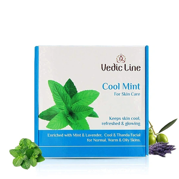 Vedic Line Cool Mint Facial Kit 400ml | Soothing Skincare Treatment | Reduce Tan & Dead Skin  | For a Radiant Glow| Keep Skin Cool, Refreshed & Glowing