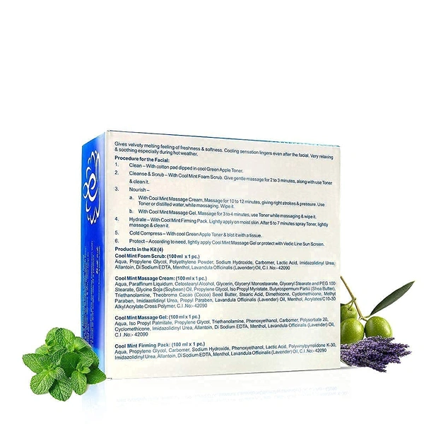 Vedic Line Cool Mint Facial Kit 400ml | Soothing Skincare Treatment | Reduce Tan & Dead Skin  | For a Radiant Glow| Keep Skin Cool, Refreshed & Glowing