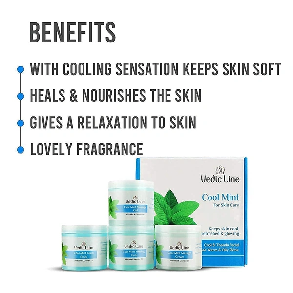 Vedic Line Cool Mint Facial Kit 400ml | Soothing Skincare Treatment | Reduce Tan & Dead Skin  | For a Radiant Glow| Keep Skin Cool, Refreshed & Glowing