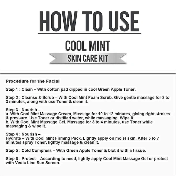 Vedic Line Cool Mint Facial Kit 400ml | Soothing Skincare Treatment | Reduce Tan & Dead Skin  | For a Radiant Glow| Keep Skin Cool, Refreshed & Glowing