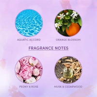 Wottagirl wottergirl Amber Kiss 135ml Deodorant Spray for Women