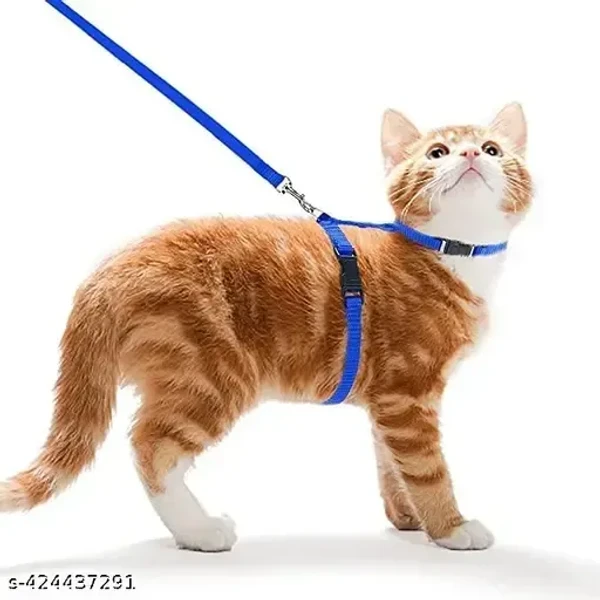 S.Blaze Basic Full Body Cat Harness with Leash Set for Walking | Escape Proof | Adjustable & Durable for Cats