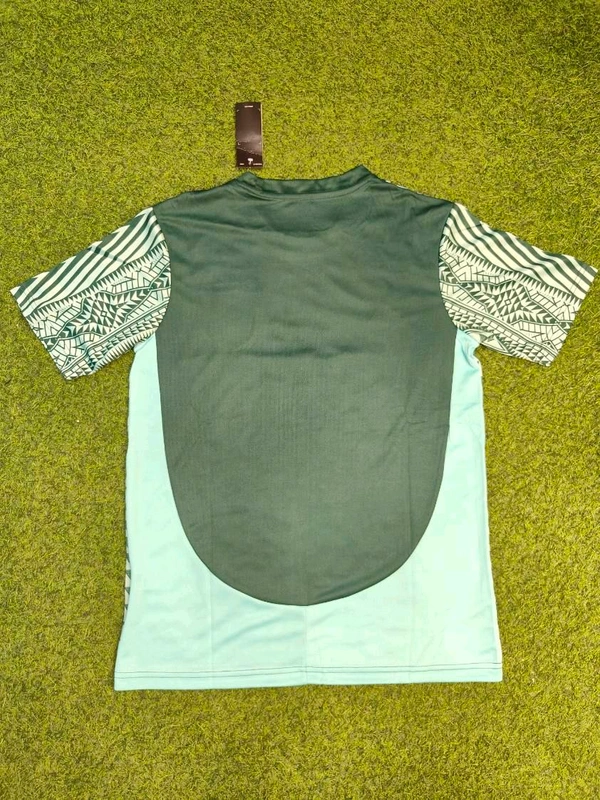 Italy Green Limited Edition Jersey With Short  - M