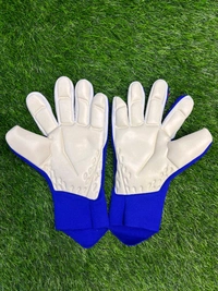 Predator Blue And Red GK Gloves  - 8
