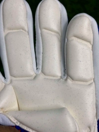Predator Blue And Red GK Gloves  - 8