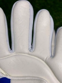 Predator Blue And White GK Gloves  - 9