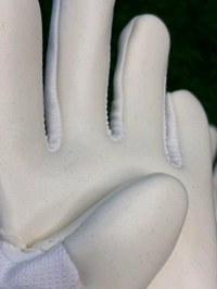 Predator White GK Gloves  - 8