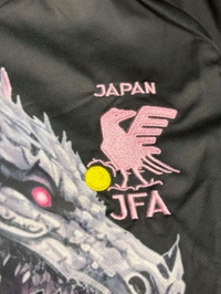 Japan Football Team Special Kit With Short  - L